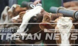 Screenshot_2026-02-14-11-36-56-49_7ecc343528d84aae1423bfb8eca3bd44