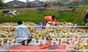 Screenshot_2026-03-03-00-40-20-50_7ecc343528d84aae1423bfb8eca3bd44