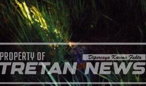 Screenshot_2026-03-06-21-31-04-79_7ecc343528d84aae1423bfb8eca3bd44