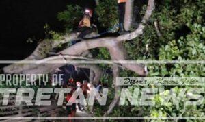 Screenshot_2026-03-08-17-12-35-94_7ecc343528d84aae1423bfb8eca3bd44