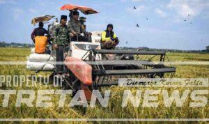 panen-raya-pademawu-pamekasan-desa-polri.jpg Panen raya padi di Desa Durbuk, Pademawu, Pamekasan yang melibatkan pemerintah desa dan Bhabinkamtibmas dalam mendukung kemandirian pangan nasional