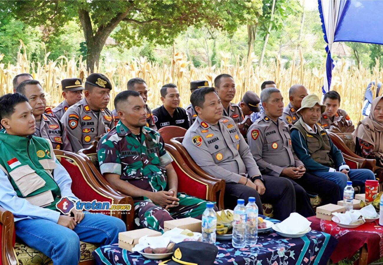 Kapolres Pamekasan bersama Forkopimcam mengikuti panen jagung serentak bersama Presiden RI secara virtual di Desa Sumber Papan V, Kecamatan Palengaan, Pamekasan, Sabtu 16 Mei 2026