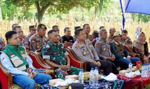 panen-jagung-polres-pamekasan-ketahanan-pangan-2026.jpg Kapolres Pamekasan bersama Forkopimcam mengikuti panen jagung serentak bersama Presiden RI secara virtual di Desa Sumber Papan V, Kecamatan Palengaan, Pamekasan, Sabtu 16 Mei 2026