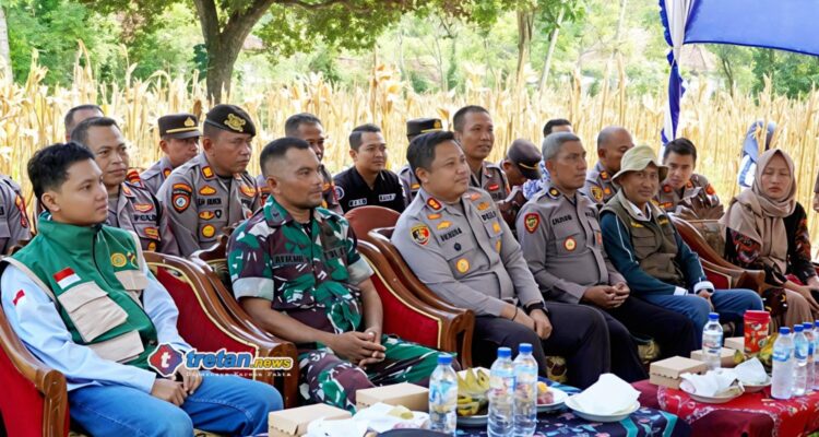Kapolres Pamekasan bersama Forkopimcam mengikuti panen jagung serentak bersama Presiden RI secara virtual di Desa Sumber Papan V, Kecamatan Palengaan, Pamekasan, Sabtu 16 Mei 2026