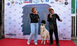 Tradisi Arak-Arakan Kambing di Gresik Arak-arakan kambing hias di Kalitutup Gresik saat menyambut Hari Raya Iduladha 2026.