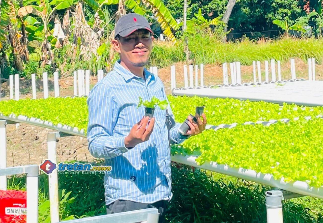 Faridi meninjau budidaya hidroponik warga di Pamekasan