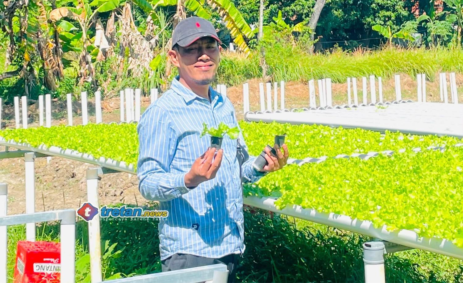 Faridi meninjau budidaya hidroponik warga di Pamekasan