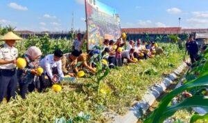 CV Ayunda Sejahtera bersama Lapas Pamekasan saat panen semangka golden