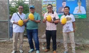 Melon BUMDes Sumbersuko