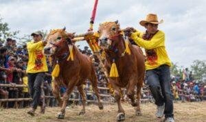 Piala Presiden Karapan Sapi 2026